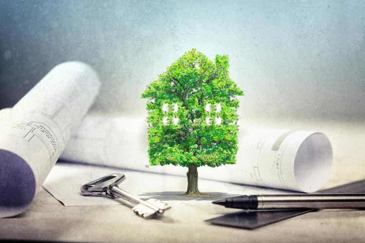 Building Decarbonization