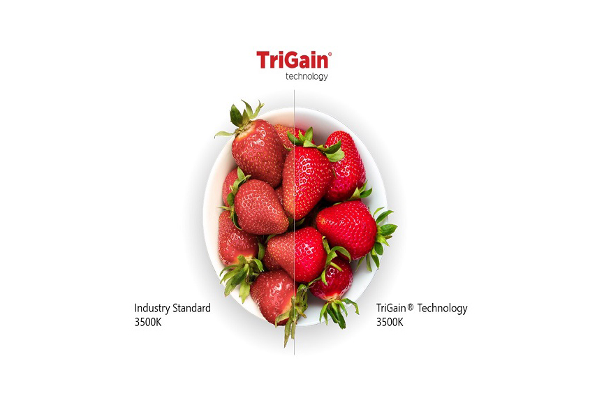 TriGain Technology TriGain Technology