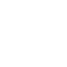 Rotate Icon